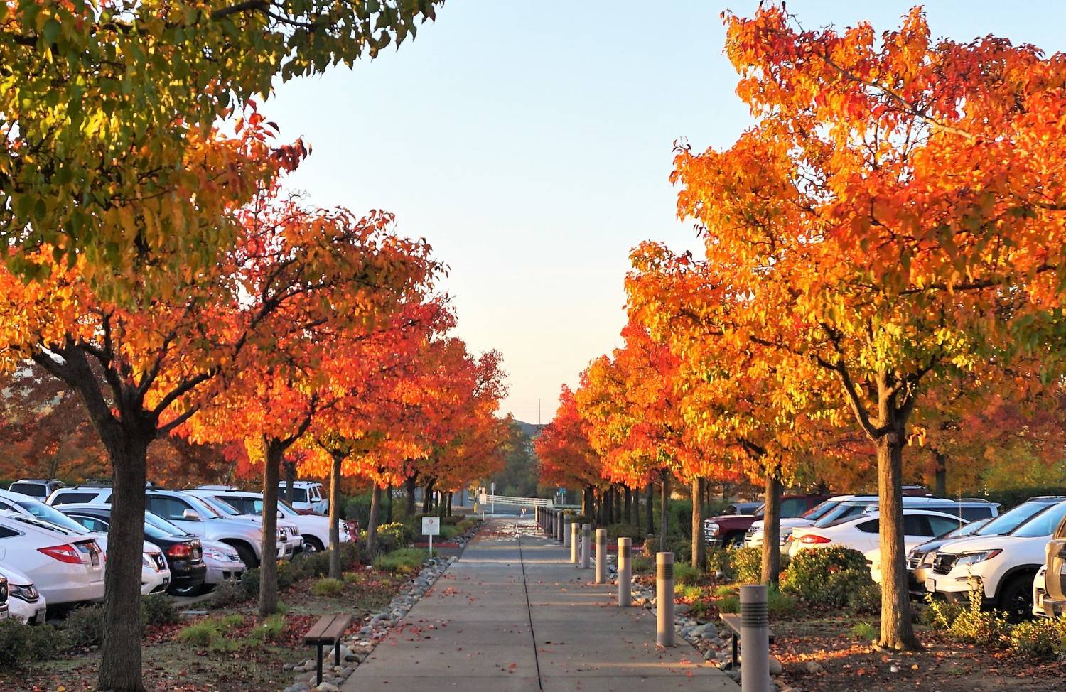At Roseville Cardiology, we are committed to providing exceptional cardiovascular care.
